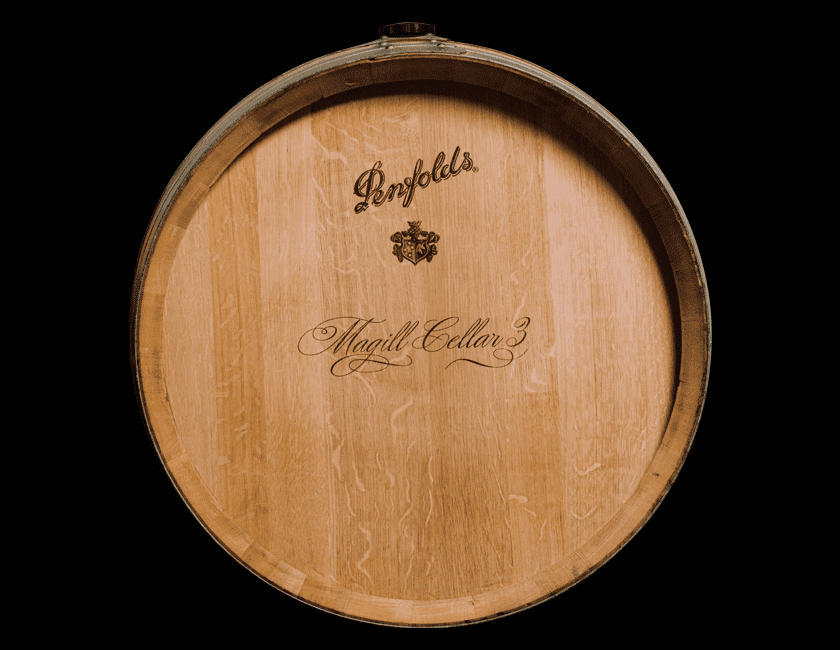 Rare Penfolds 2021 Vintage Magill Cellar 3 Barrel of Wine
