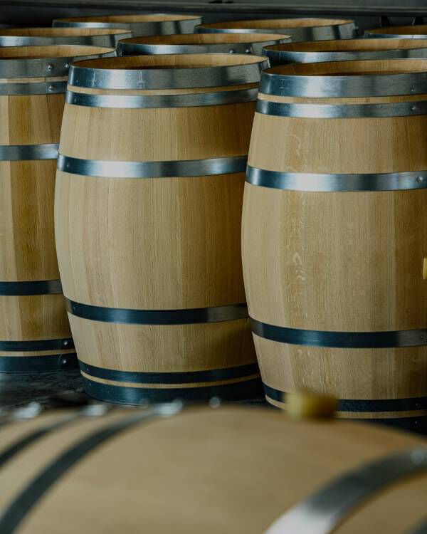 EVERMORE GRANT PROGRAM RECIPIENTS - FRANCE