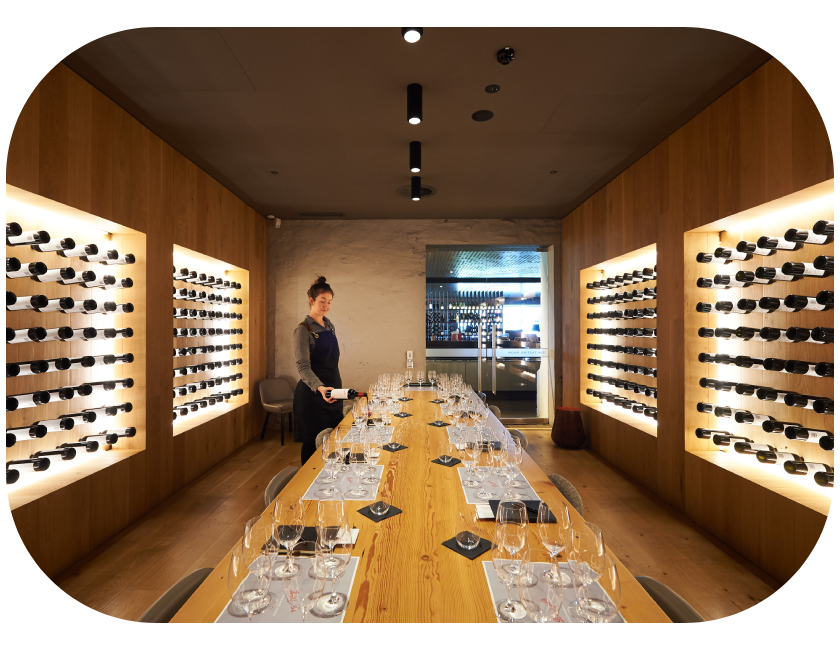 Tasting at Magill Estate