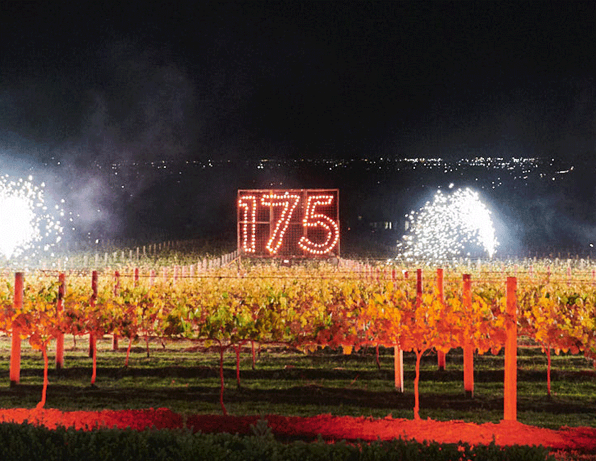 Fireworks Over Penfolds Magill Estate Vineyard 